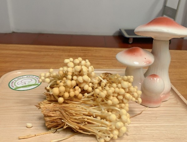 Nấm Sạch Việt Nam - Các Loại Nấm Việt Nam - 603 Tam Trinh