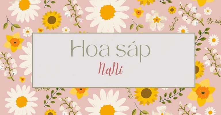 Hoa Sáp NaNi - Hoa Sáp - Tô Ký