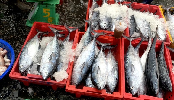 Gumi - Hải Sản - Cộng Hòa