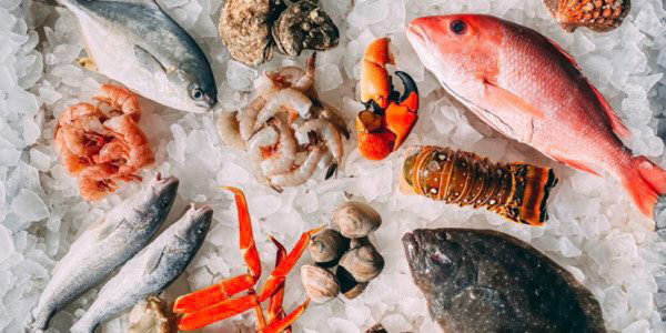 UOSHO VIETNAM - Sashimi & Sushi - Thảo Điền