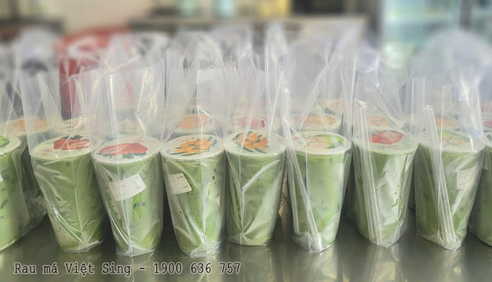 Rau Má Việt Sing Thủ Dầu Một - Đồ Uống Healthy - 223 Cách Mạng Tháng 8