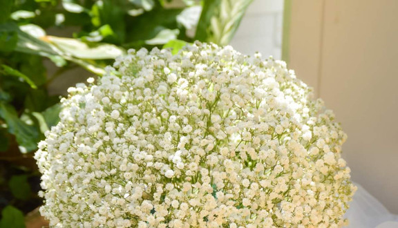 Tiệm Hoa - Quận 4