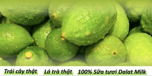 SUDANING - Trà Sữa & Trà Hoa Quả Quảng Đông - Hàng Khay - 31 Hàng Khay