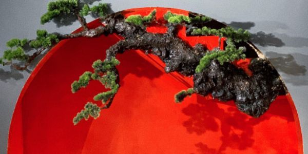 Chayamachi - Trà, Cà Phê & Sinh Tố - Chợ Đôn