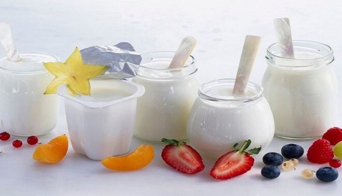 Yogurt Garden - Vườn Sữa Chua - Trần Thái Tông