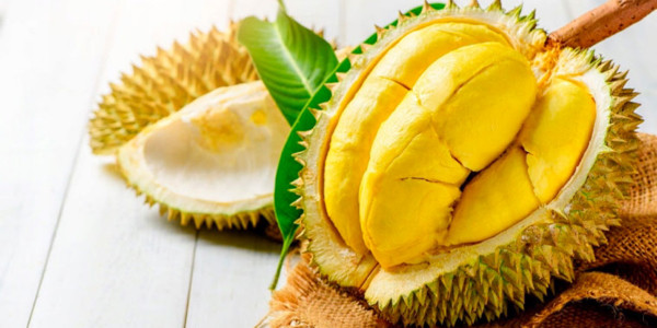 Sầu Riêng Sạch Ri 6 Thái - Chung Cư Trần Quốc Thảo