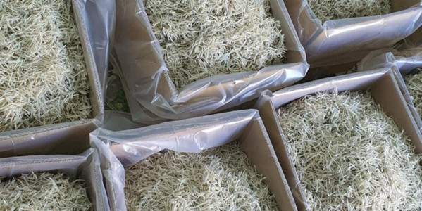 HẢI SẢN XỨ NGHỆ - Đường Số 102