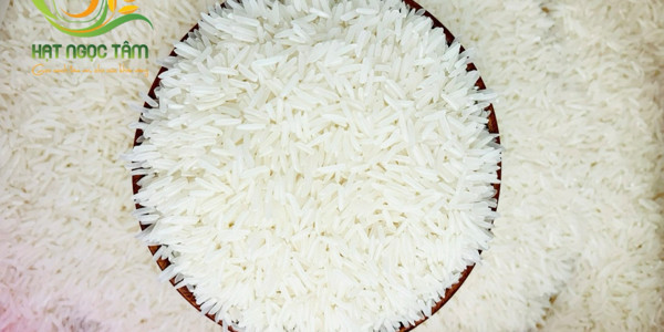 Gạo Hạt Ngọc Tâm - Gạo ST25, Gạo Lứt Huyết Rồng & Lứt Tím Than Organic - Đường 15