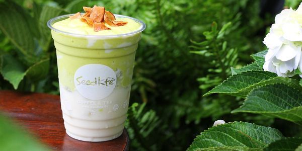 Seed Kfe - Hồ Thị Tư