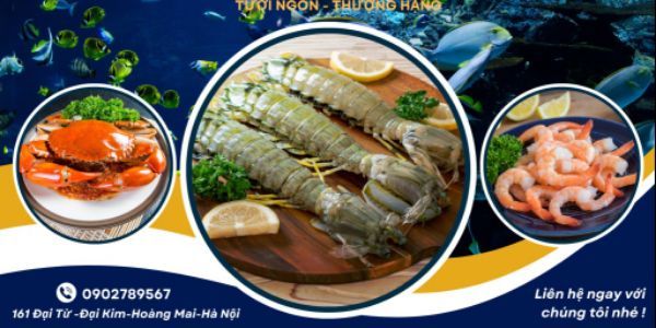 Hải Sản Sạch Chung Thúy - Đông Lạnh - Gần Chợ Đại Từ