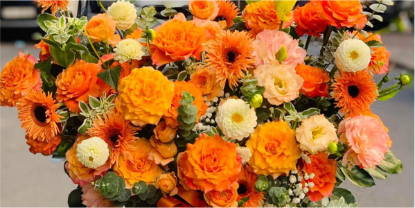 Trúc Nguyên Lê Flowers & Fruits - Hoa Tươi & Trái Cây Nhập Khẩu - Nguyễn Hữu Cầu