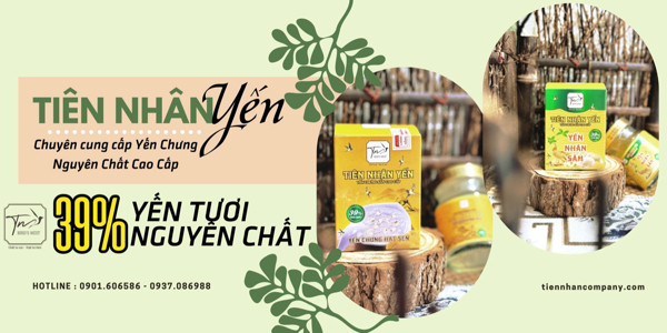 YẾN CHƯNG NGUYÊN CHẤT CAO CẤP - TIÊN NHÂN YẾN