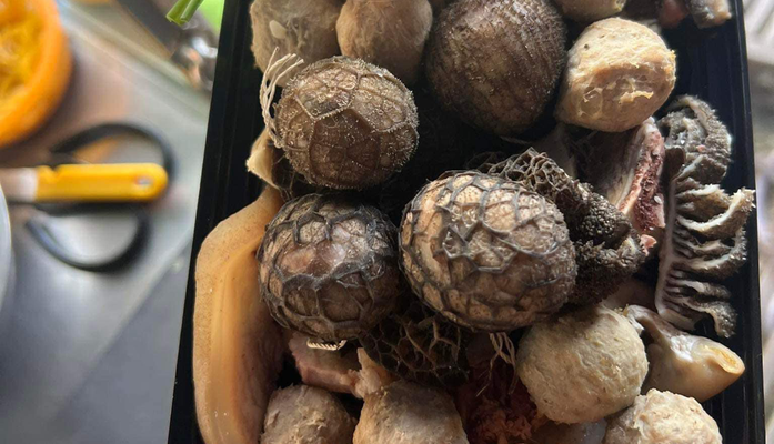 Hùng Lẩu Bò - Lẩu Bò Nhồi Mông Cổ