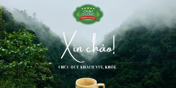 Châu Ô Long - Trà Và Cà Phê - Hàm Nghi