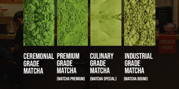 1996 - Matcha Latte Thượng Hạng