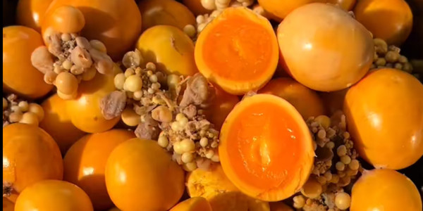 Tiệm Chân Gà MiNie - Chân Gà Sốt Thái - Hẻm 51 Đường 3/2