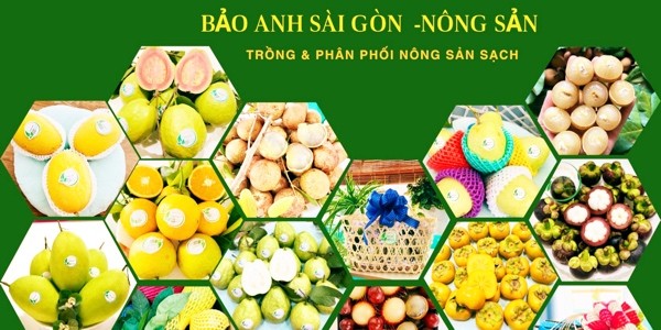 Bảo Anh Sài Gòn - Trái Cây Tươi - Phú Nhuận