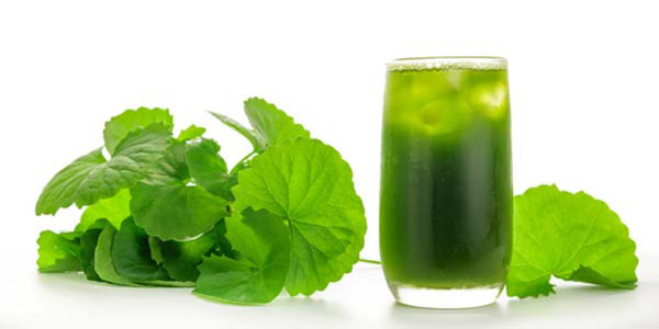 Tiệm Rau Má Limix