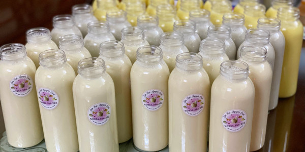 Sữa Hạt & Nước Ép Cô Anh - Hoàng Quý