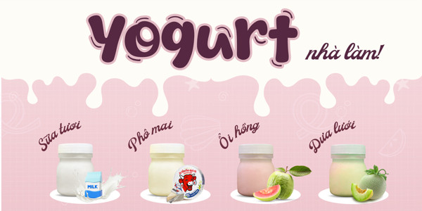 Yaourt & Bánh Flan - Ngọc Trâm