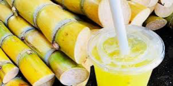 Trà My - Hủ Tiếu Vịt, Xôi Vịt & Mì Quảng Heo - 47 Đại Nẫm