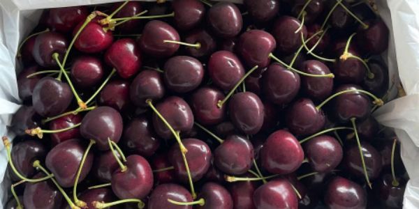 DP Fruits - Hoa Quả Nhập Khẩu - Quang Trung