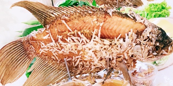 Cá Tai Tượng Chiên & Chân Giò Chiên Muối Tâm Râu Gò Vấp - Nguyễn Du