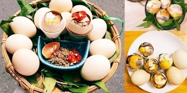 Gà Lộn Ý Phương