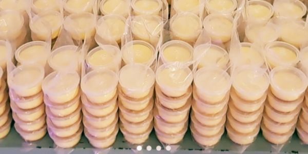 Banh Flan Kim Kiều - Yauort, Rau Câu & Panna Cotta