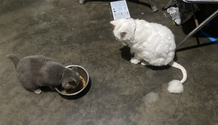 Bếp Nhà Anh Grab - Ăn Vặt - Đống Đa