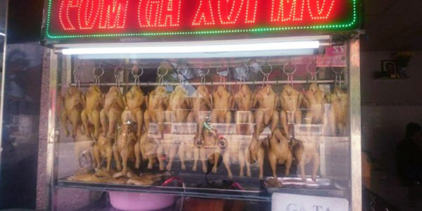 Cơm Chiên Anh Văn & Cơm Gà