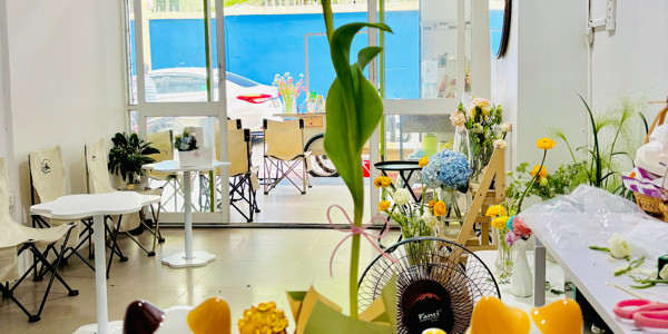 CINTHERRY TEA FLOWER - Set Hoa Trà - Bạch Đằng