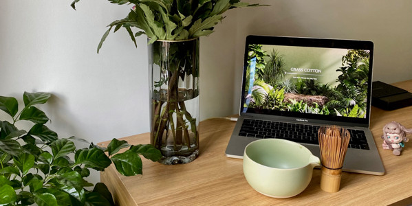 Maccia - Matcha Latte - Nguyễn Trung Trực