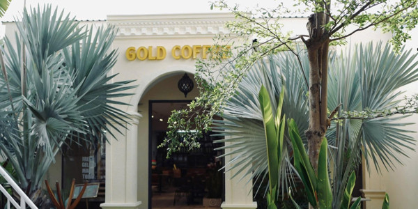 Gold Tea Mậu Thân 2