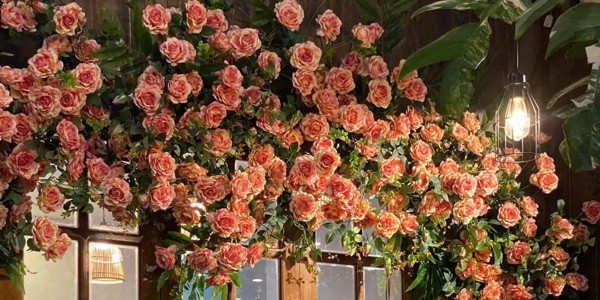 Tiệm Trà Của Nắng - Coffee & Trà Sữa