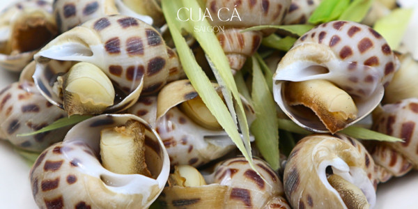 Cua Cá Sài Gòn - Ốc Hương & Cua Cà Mau - Đường Số 3
