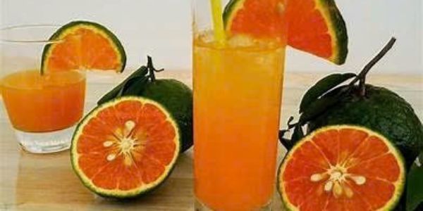 Nước Ép Trái Cây Hưng Hào Hoa