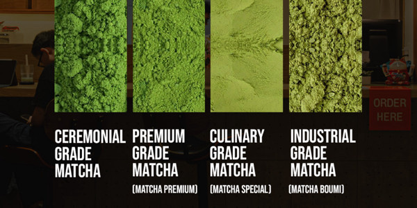 1996 - Matcha Latte Thượng Hạng - CN Lê Văn Sỹ
