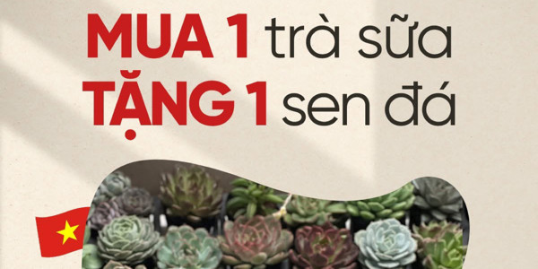 Tầm - Trà Sữa Kéo Thủ Công Đậm Vị - 164A Nguyễn Chí Thanh