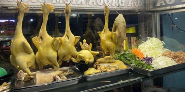 Cơm Gà & Cháo - Gỏi Gà Ta Phương Thảo