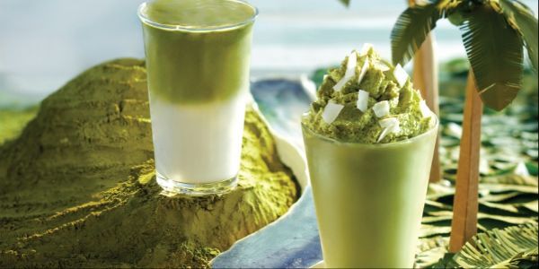 Maison Coffee - Matcha Latte, Ô Long Nhài Sữa & Trà Hoa Quả Nhiệt Đới