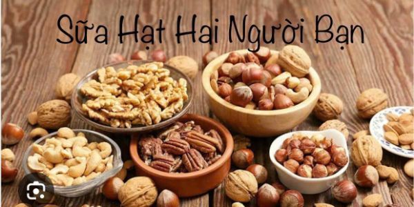 Sữa Hạt - Hai Người Bạn - Huỳnh Tấn Phát