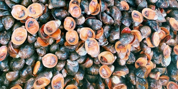 Ốc Dừa UyênUyênn Trương - Shop Online