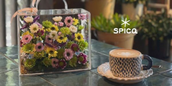 Spica Studio - Thảo Điền