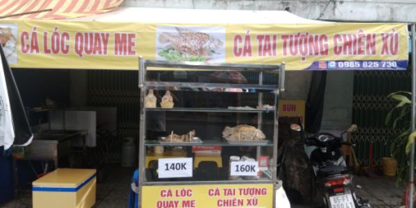 Cá Tai Tượng Chiên Xù & Cá Lóc Quay Me - Trần Quang Diệu