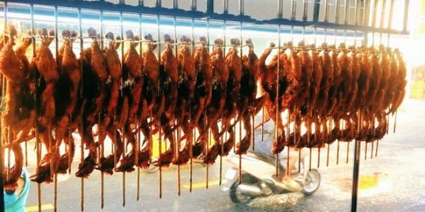 Gà Nướng Tư Hoàng - Đỗ Xuân Hợp