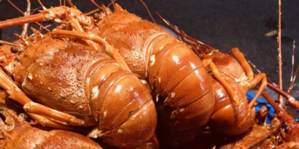 Tiệm Ăn Vặt Ông Bảo - Food & Drinks Juice - Hàng Giầy