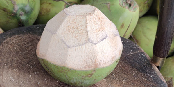 Cà Phê Sơn Brikka