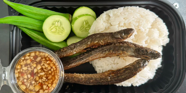 Tiệm Cơm Khô Chiên Miền Tây