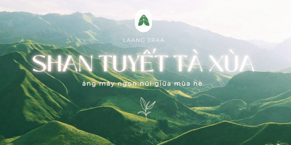 LAANG TRAA - Trà Ô Long, Matcha & Cà Phê - Lương Thế Vinh